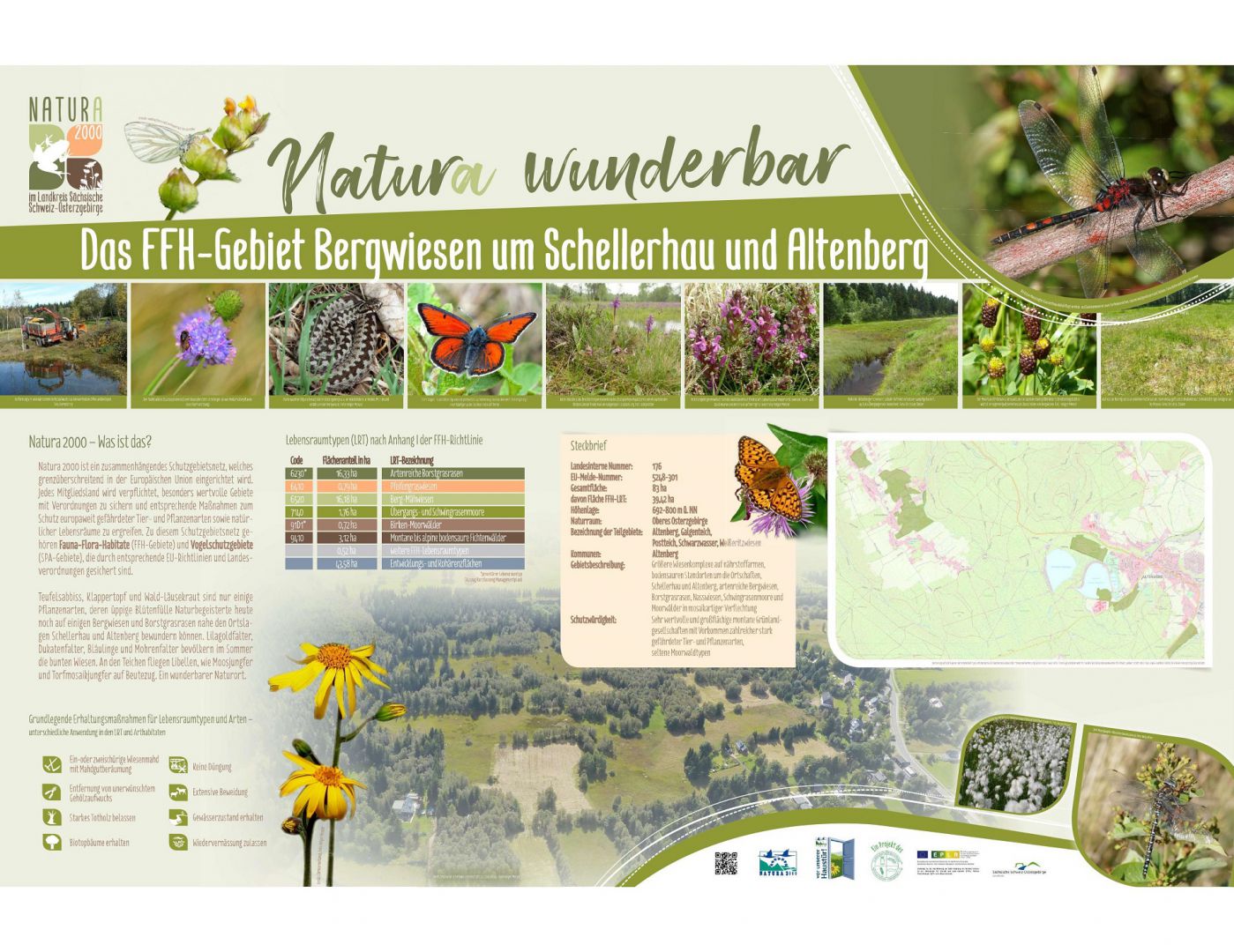 tl_files/downloads/Bilder Projekte/Projektstellen/Natura 2000 1.0/Tafeln/Tafel_BW_Schellerhau_Altenberg.jpg